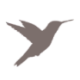 Logo ELEMENT LIFEST.RETIRE.INC