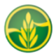 Logo SENNEN POTASH