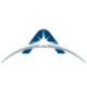 Logo Avio