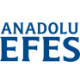 Logo Anadolu Efes