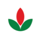 Logo Bisi International