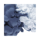 Logo BAIKOWSKI SAS EO 1,25