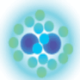 Logo SANGUI BIOTECH INTL