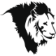 Logo Invictus Energy
