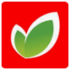 Logo O'Key Group ADR
