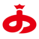 Logo Shenguan Group