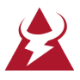 Logo T-BULL S.A. ZY-,1