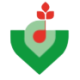 Logo Graines VOLTZ