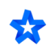 Logo Blue Star Capital