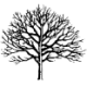 Logo LATHAM (JAMES)