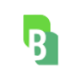 Logo Bridge Investment Group