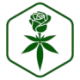 Logo Greenrose Holding Company