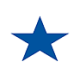Logo Blue Star Foods