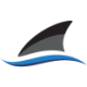 Logo Tenaz Energy