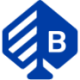 Logo Bragg Gaming Group
