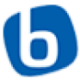 Logo BLUECHIIP LTD