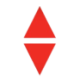 Logo Pro Medicus