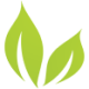 Logo BRIGHT GREEN CORP.