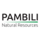 Logo PAMBILI NATURAL RESOURCES