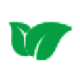 Logo GREEN SCIENT.LABS HLDGS