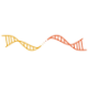 Logo GeneTether Therapeutics