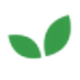 Logo JUSTERA HEALTH LTD.