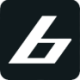Logo BELLINI NAUTICA S.P.A.