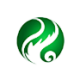 Logo Beijing Dalong Weiye RE Dev 'A'