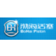 Logo SHANDONG BINZHOU BOHAI A