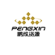 Logo PENGXIN INT.MINING A YC 1