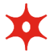 Logo Murphy Oil