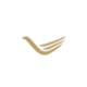 Logo FEISHANG ANT.RES HD-,001