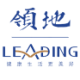 Logo LEADING HOLDINGS DL-,01