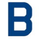 Logo Bachem Holding