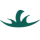 Logo PLANTIFY FOODS INC.NEW