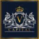 Logo VCI Global