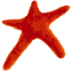 Logo H. Lundbeck B