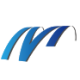 Logo MILLENNIUM GROUP INTL HLD