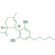 Logo CBD DENVER INC.NEW DL-,01