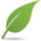 Logo VIASPACE