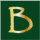 Logo BORNEO RES.INV. DL-,01