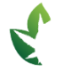 Logo Amazonas Florestal