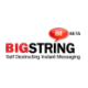Logo BIGSTRING CORP. DL-,01