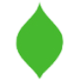 Logo BOYLE BANCORP. CDT-CAP