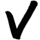 Logo VNUE INC. DL-,10