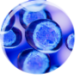 Logo MESO NUMISMATICS INC.
