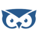Logo SAVI FINA