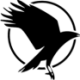 Logo BLACK BIRD BIOTECH DL-001