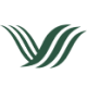 Logo YASHENG GROUP DL-,01