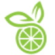 Logo GP SOLUTIONS INC. DL-,001